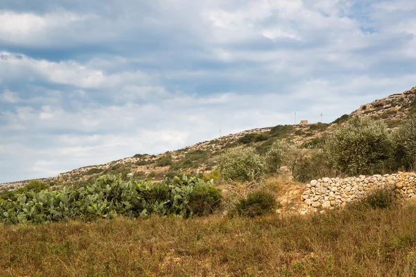 Terreno pedregoso en Malta — Foto de Stock