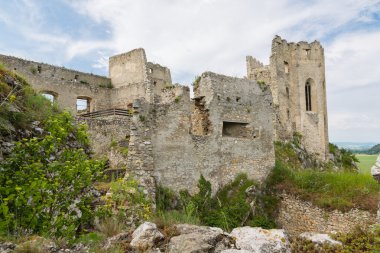 Castle Beckov, Slovakya
