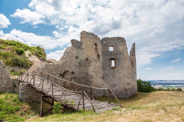 Oponice kale harabe, Slovakya