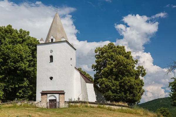 Sadok Romanesk-Gotik Kilisesi — Stok fotoğraf