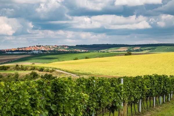 Vue du village Boretice — Photo