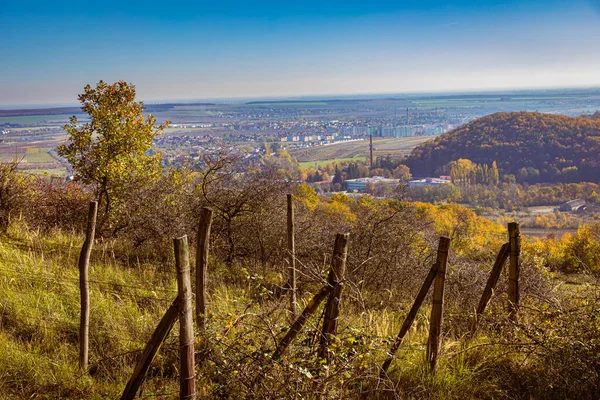 Der Herbst Voller Farben Alter Weinberg Hügel Über Der Stadt Stockbild