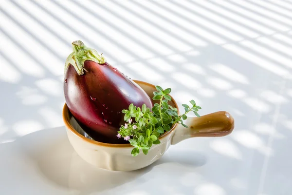 Baby eggplant — Stock Photo, Image