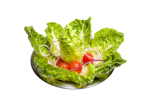 Lettuce — Stock Photo, Image