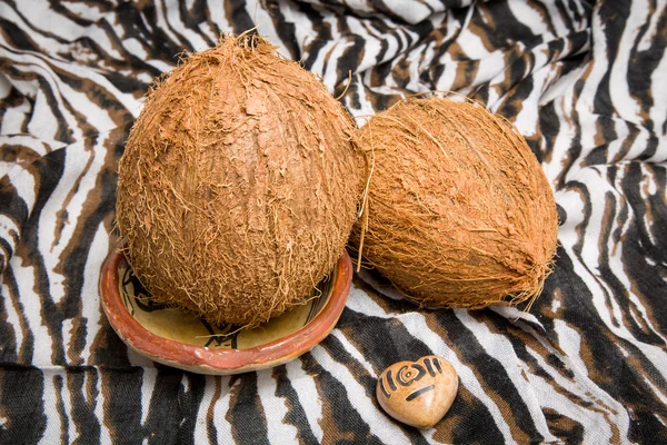 African coconut
