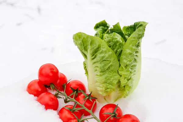 Verduras de invierno — Foto de Stock