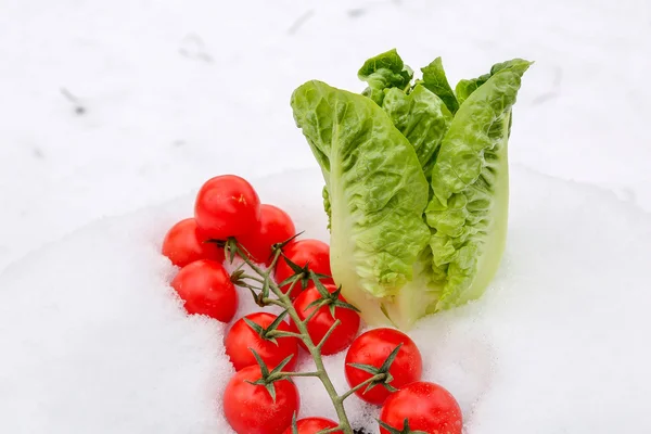 Verduras de invierno — Foto de Stock