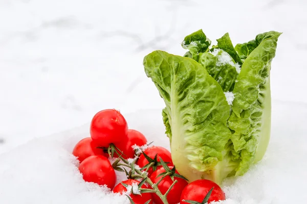Verduras de invierno — Foto de Stock
