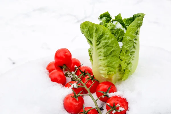 Verduras de invierno — Foto de Stock