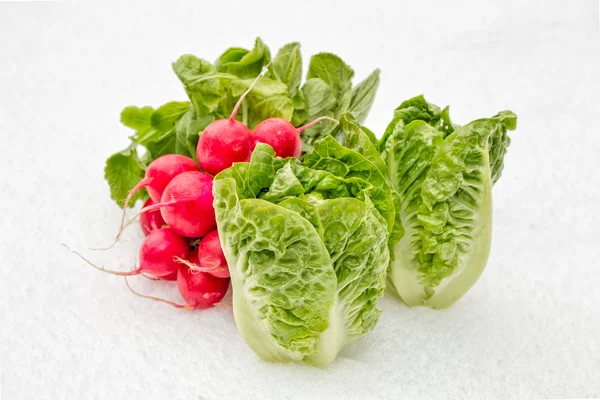 Warzywa w zimie — Zdjęcie stockowe
