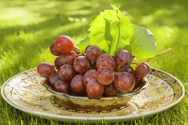 Winogrona w ogrodzie — Zdjęcie stockowe