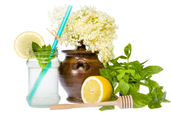 Elder Flower Lemonade — Stock Photo, Image