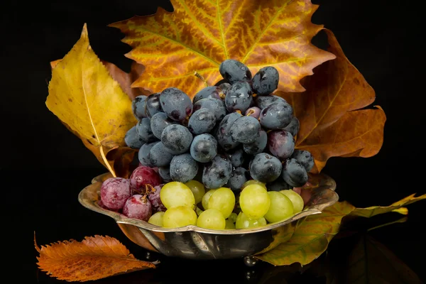 Виноград и осенние листья — стоковое фото