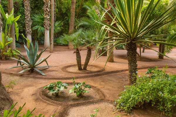 Jardin Majorelle à Marrakech — Photo
