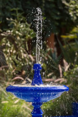 Jardin Majorelle Marakeş'te