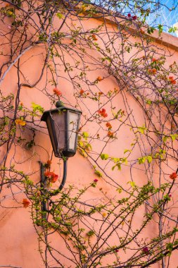 Marakeş Medine duvarda lamba
