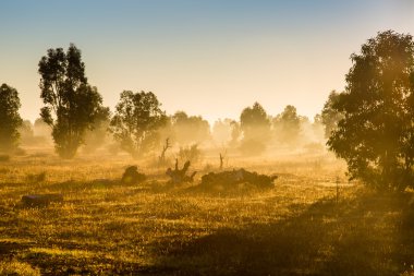 Marakeş, Fas için kıyıya yolda