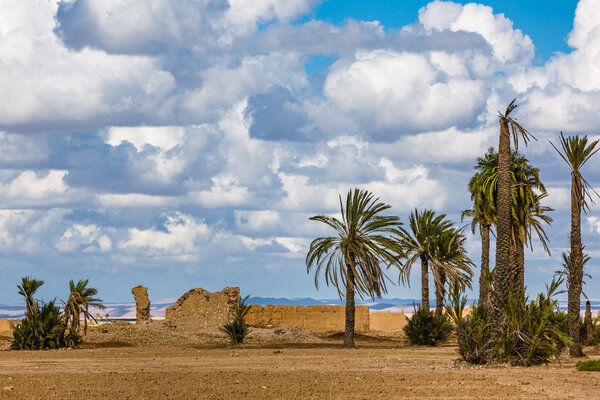 Landscape around Marrakesh