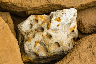 Atlantic coast ayrıntıda. Fas.