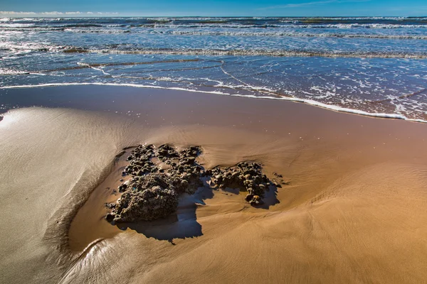 Costa atlantica, Marocco — Foto Stock