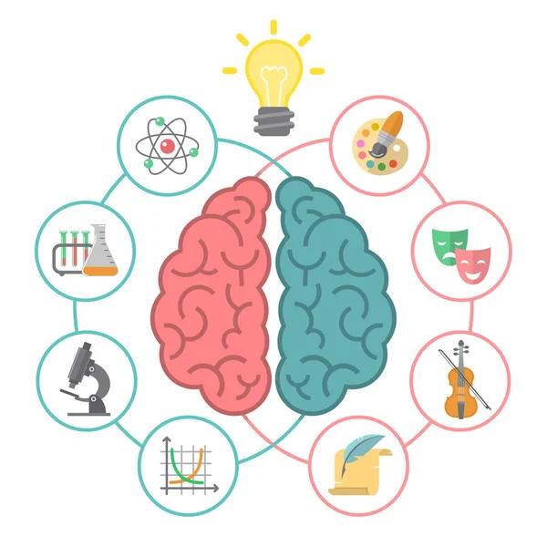 Concepto cerebral — Archivo Imágenes Vectoriales