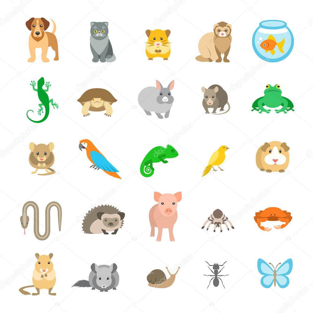 Animals pets vector flat colorful icons set