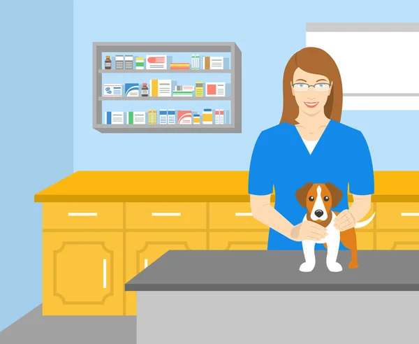 Veterinaria mujer sosteniendo un perro en la oficina veterinaria — Vector de stock