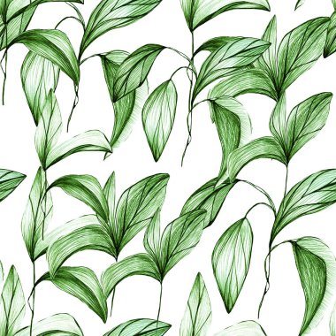 Yapraklar kurşun kalemle, tropik bitkiler. Kurşun kalemle el çizimi. Botanik çiçeği, yapraklar, tekstil dekoru ve tasarımı için çiçek deseni, botanik renk çizimleri. stok grafikleri 