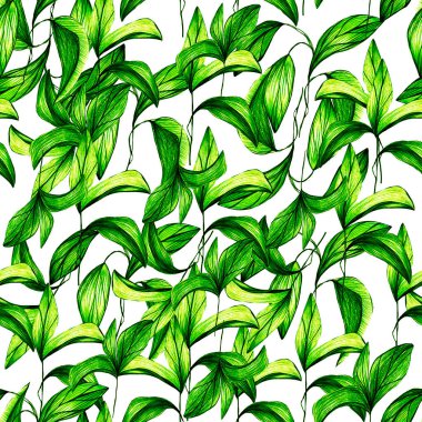 Yapraklar kurşun kalemle, tropik bitkiler. Kurşun kalemle el çizimi. Botanik çiçeği, yapraklar, tekstil dekoru ve tasarımı için çiçek deseni, botanik renk çizimleri. stok grafikleri 