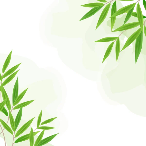 Реалистичный Зеленый Бамбуковый Лист Дерева Акварелью Белом Квадратном Фоне Изображение — стоковое фото