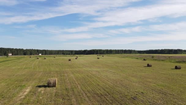 Prachtig Russisch Veld Drone Schieten — Stockvideo