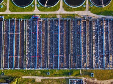 Ormandaki tedavi tesisleri, Tomsk