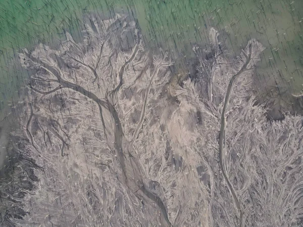 Dépôt Cendres Dans Une Forêt Inondée — Photo