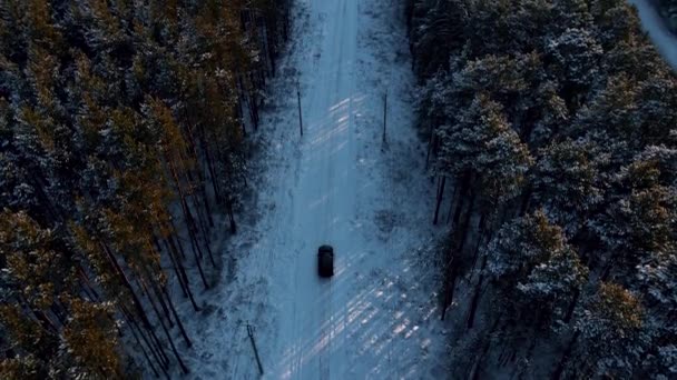 Auto Rijdt Door Winter Siberisch Bos — Stockvideo