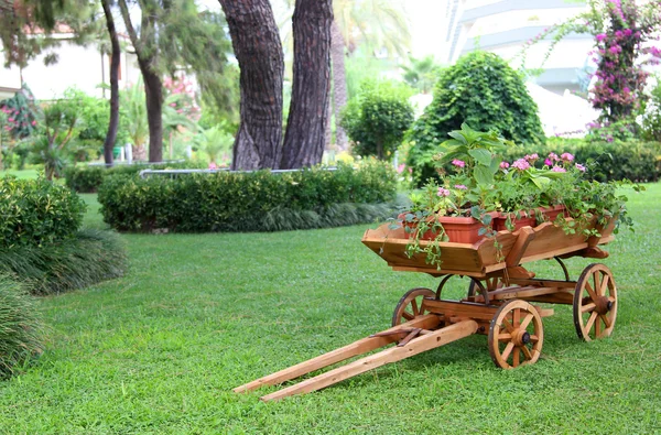 içinde bir ahşap sepeti bir çiçek yatağı