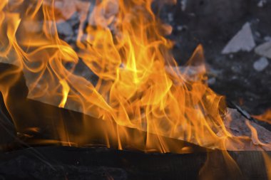 bir kamp ateşi yanan odun