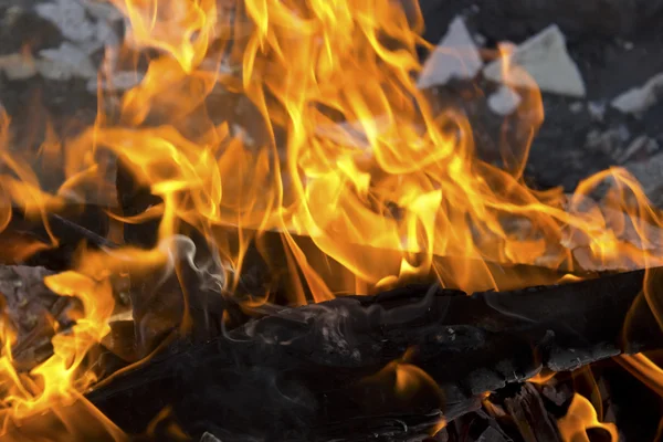 bir kamp ateşi yanan odun