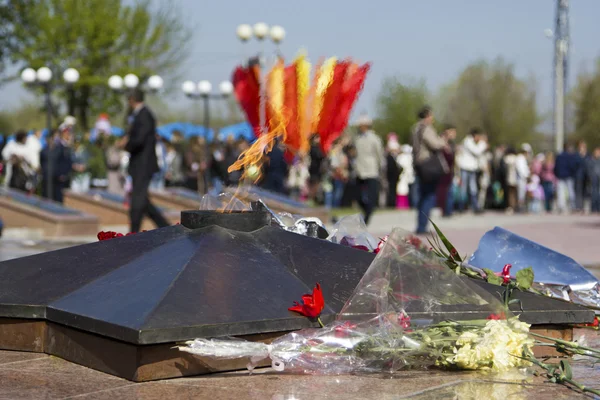 çiçekler eternal flame 9 Mayıs için lay