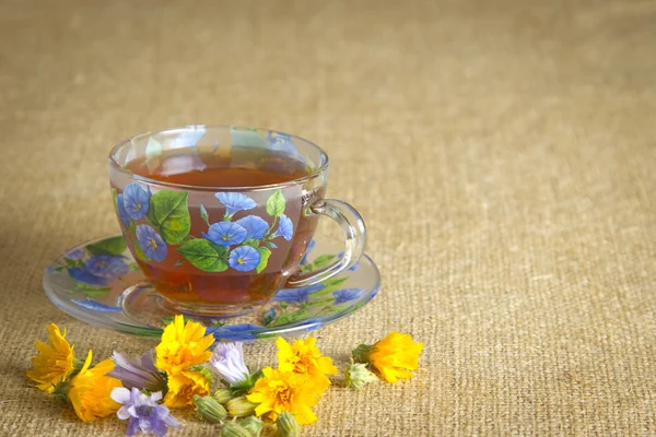 Taza de té de vidrio con flores amarillas y azules —  Fotos de Stock