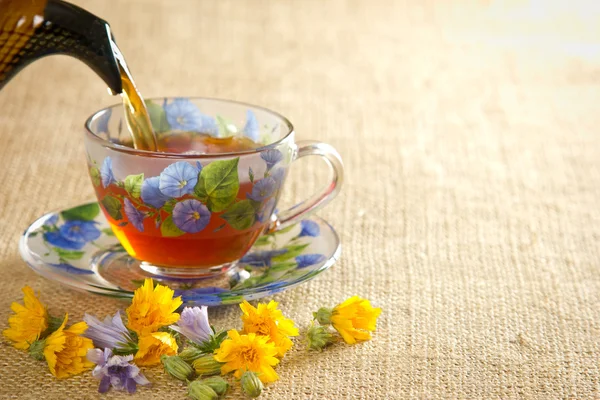 Gießen Sie den Tee in einen Becher aus dem Wasserkocher — Stockfoto