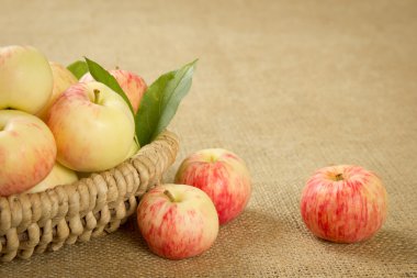 Olgun güzel bir sepet elma