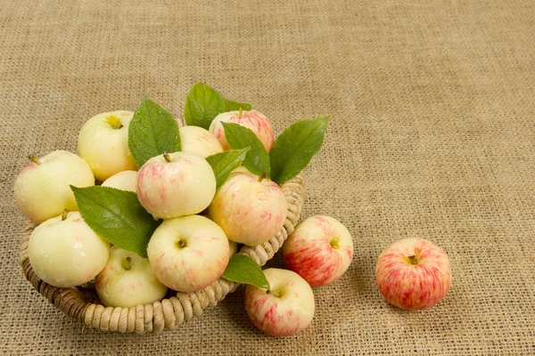 Olgun güzel bir sepet elma