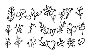 Doodle tarzı el çizimi. Siyah beyaz bitkiler, çiçekler. İzole vektör illüstrasyonu.
