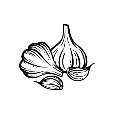 Beyaz arkaplanda sarımsağın vektör çizimi