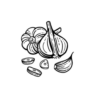 Sarımsak takımı. Elle çizilmiş sarımsak resmi. İzole edilmiş arka plan. Katmanlı.