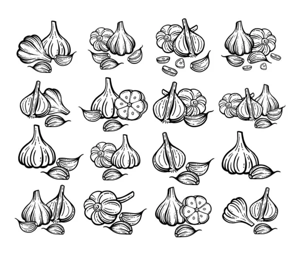 Croquis Ail Set Ail Dessiné Main Dessins Vectoriels Isolés — Image vectorielle