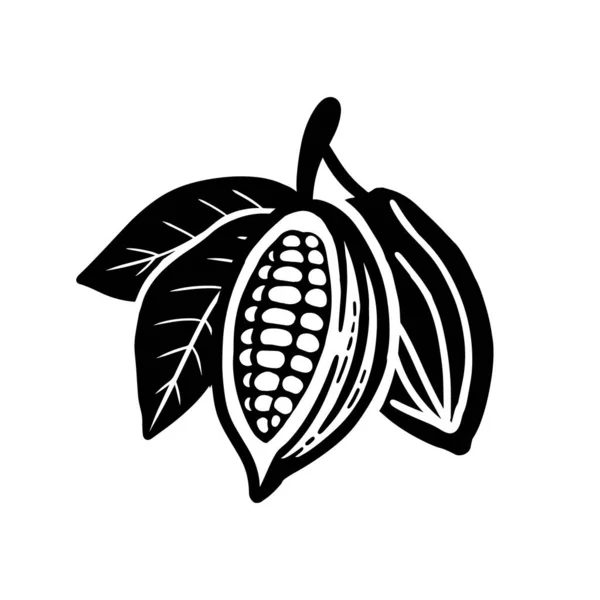 ココア豆のスケッチ 白のベクトルアイコン — ストックベクタ