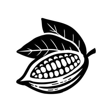 Kakao fasulyesi eskizi. Beyaz üzerine vektör simgesi.