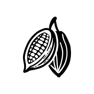 Kakao fasulyesi eskizi. Beyaz üzerine vektör simgesi.