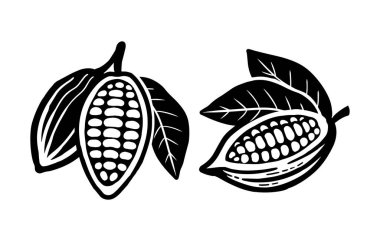 Kakao fasulyesi ikonu. Beyaz bir arkaplanda izole edilmiş